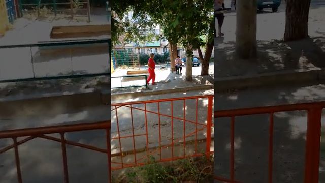 Снимают на видео,как я кормлю уличных кошек. Считают это ненормальным. смотреть онлайн