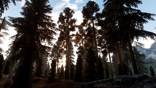 Skyrim Nature Wallpaper 05 смотреть онлайн