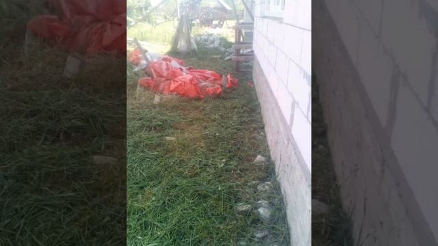 Мой дом. Хоть я за 1000 км но работа кипит. Хочу уже домой смотреть онлайн