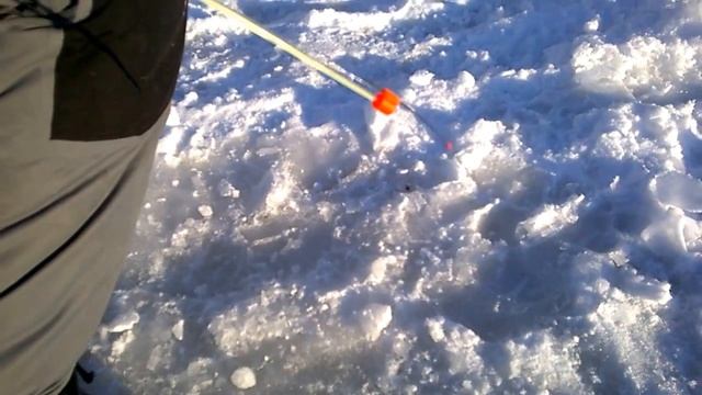 Плотва. Поклёвка на безмотылку. смотреть онлайн