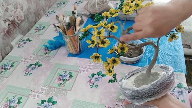 часть 8, цветущий бонсай, ствол. VID 20220816 144832 смотреть онлайн