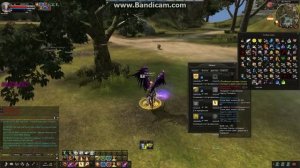 2.Как увеличить дамаг в игре Карос, зерон