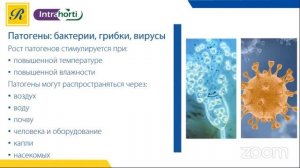 Решения для очистки воды и системы полива в теплицах