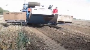 Современное сельское хозяйство в мире