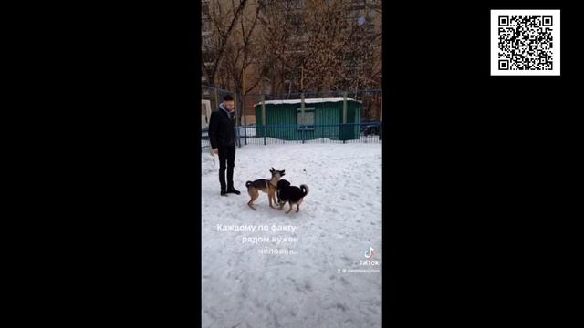 Happiness with your hands Mozart смотреть онлайн