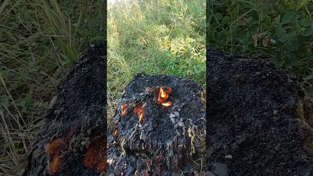 29 июля 2021 г. отжиг "жабьей порчи" и "крадника на красоту" смотреть онлайн