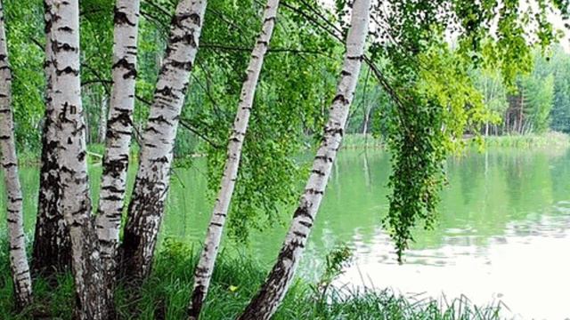 Алан, молодой человек влюбленный в Линду и понимающий, что нужно отпустить...Потому что болен.. смотреть онлайн