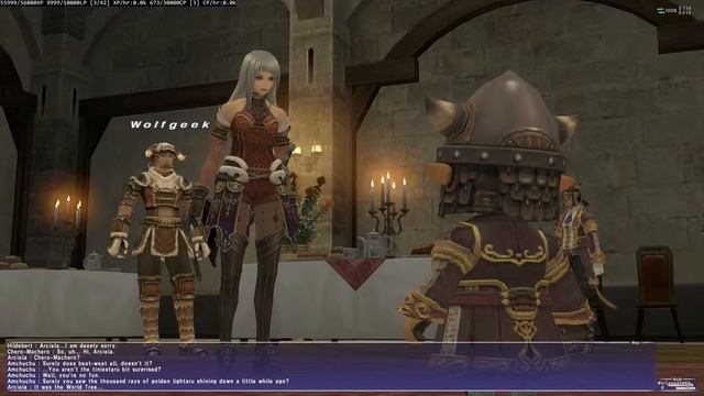 FFXI Seekers of Adoulin 28 смотреть онлайн