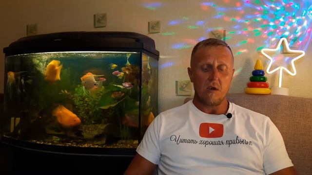 Ян Экхольм "Тутта Карлссон Первая и единственная, Людвиг Четырнадцатый и другие" глава первая смотреть онлайн