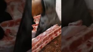 Разруб свиной полутуши