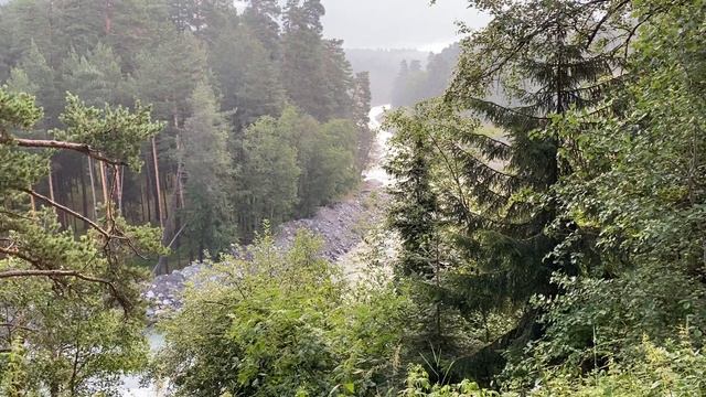 Традиции. Приметы. Заговоры. Вербное воскресенье. смотреть онлайн