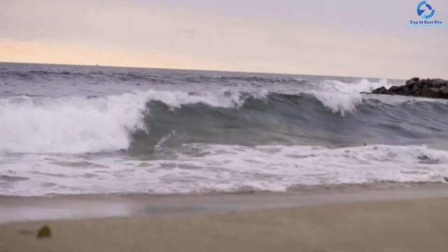 Top 10 Best Electric Scooters 2023 Reviews смотреть онлайн