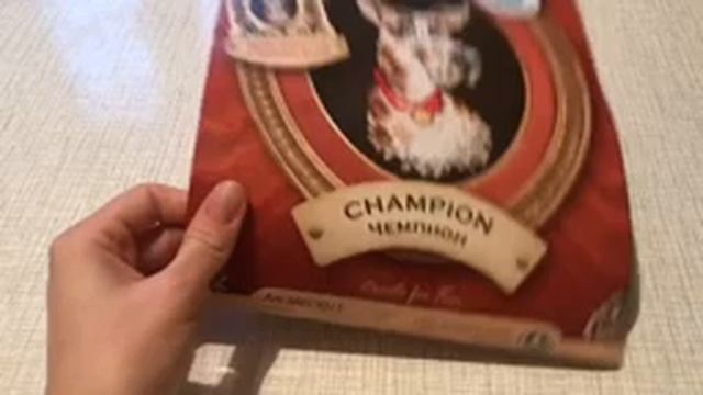 Процесс вышивки Чемпиона/Готовая работа/Вышивка крестом смотреть онлайн