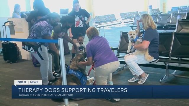 West Michigan Therapy Dogs return to Gerald R. Ford International Airport смотреть онлайн