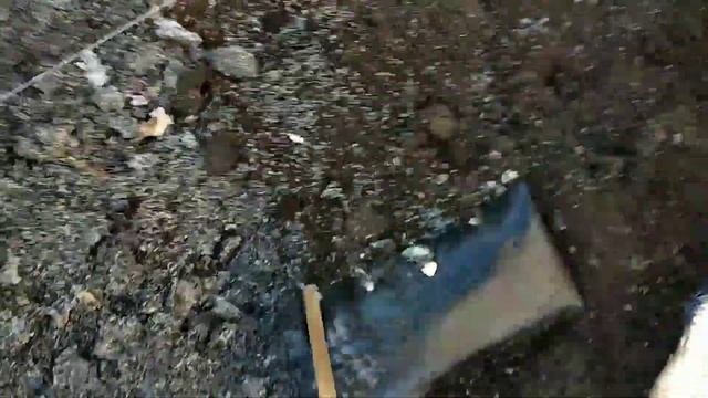 ✓1001. Посадка малины Глен Ампл. смотреть онлайн