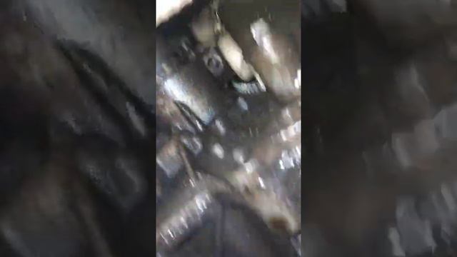 Ремонт пежо! Peugeot, Renault, Citroen!