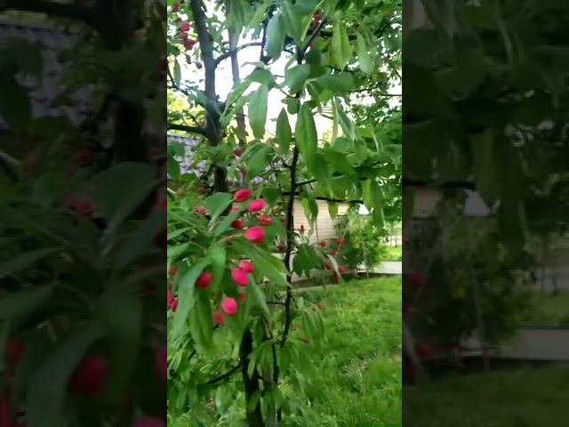 23 мая 2022 г. смотреть онлайн