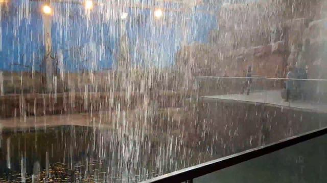 Зоопарк Вроцлав Океанариум, Польша. Zoo Wrocław Afrykarium, Poland. смотреть онлайн