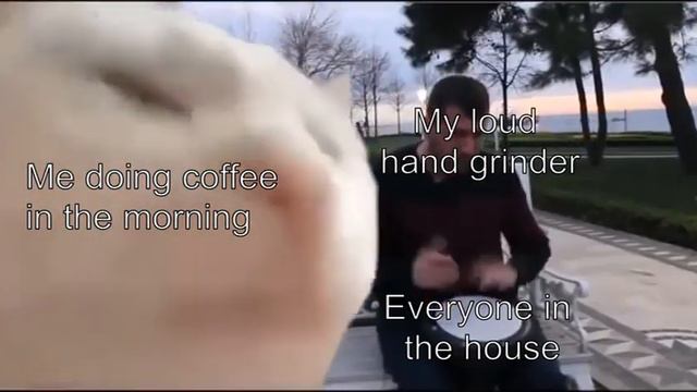 Cat vibing to coffee grinder meme смотреть онлайн