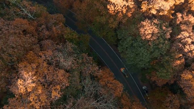 Car music about mercedes / Автомобильная музыка про мерседес ( Original mix DJ Manomid ) смотреть онлайн