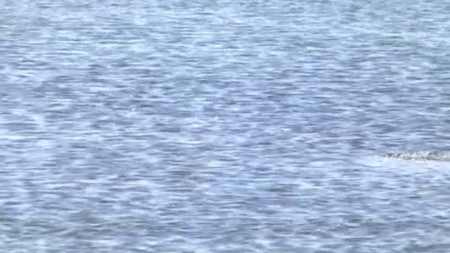 ЛИЧНОСТЬ УСТАНАВЛИВАЕТСЯ смотреть онлайн