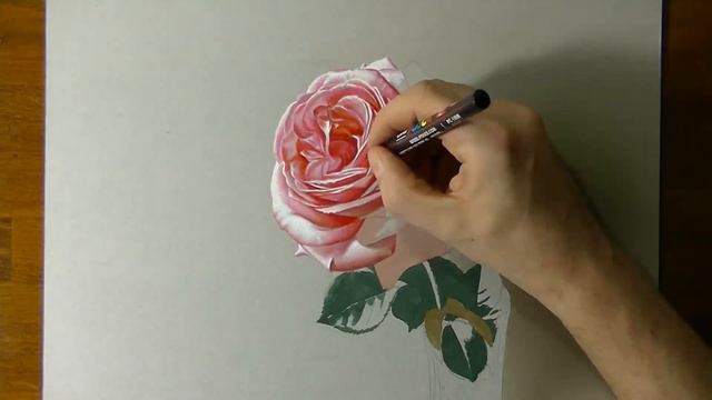 Rose Flower - 3D Speed Painting | CreativeStation GM смотреть онлайн