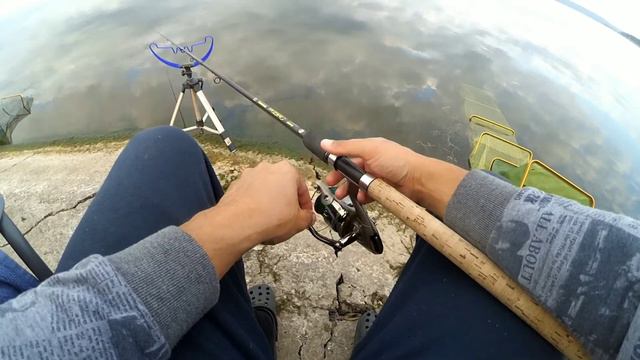 ГУСТЕРА НА ФИДЕР!!! КОЛИЧЕСТВО РАДУЕТ!!! смотреть онлайн