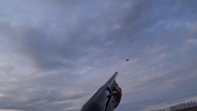 ОТЛИЧНАЯ ОХОТА НА ГУСЯ 2021 С ПРОФИЛЯМИ НА ПОЛЯХ!!! ЭТО ТОЛЬКО НАЧАЛО !!!!!!!!!!!!! смотреть онлайн