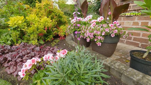 June in Flower Tour - My English Garden - June 2021 смотреть онлайн