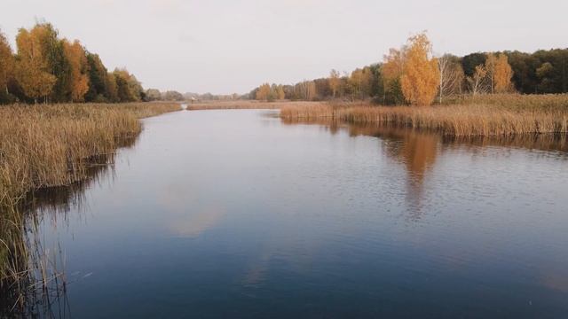 Хитрый дедовский способ рыбалки . Ловля крупного карася карпа леща на куриный жир смотреть онлайн