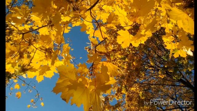 Осенние листья смотреть онлайн