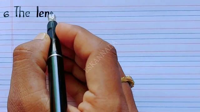 camel essay in English | essay on the camel | the camel ten lines essay in English | camel essay смотреть онлайн