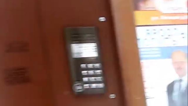пауки в банке смотреть онлайн