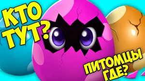 СЕКРЕТНЫЙ ПИТОМЕЦПОНИ единорог Ухаживаю за малышами  Towniz
