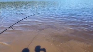 Рыбалка на реке Алдан. Поймали много щук