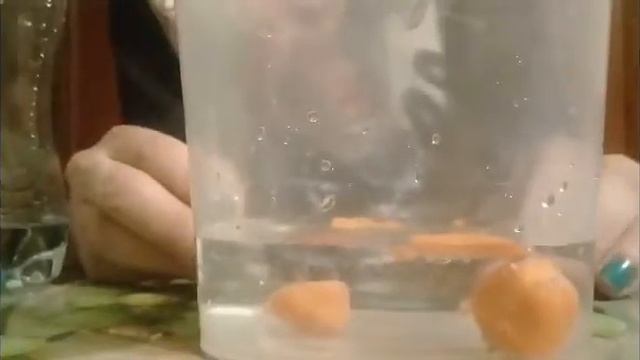Настя проводит опыт смотреть онлайн