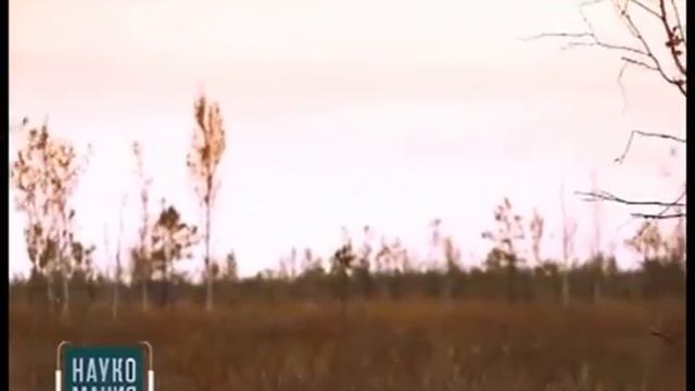 Наукомания.Болото—чёрное золото. (БЕЛАРУСЬ 3) смотреть онлайн