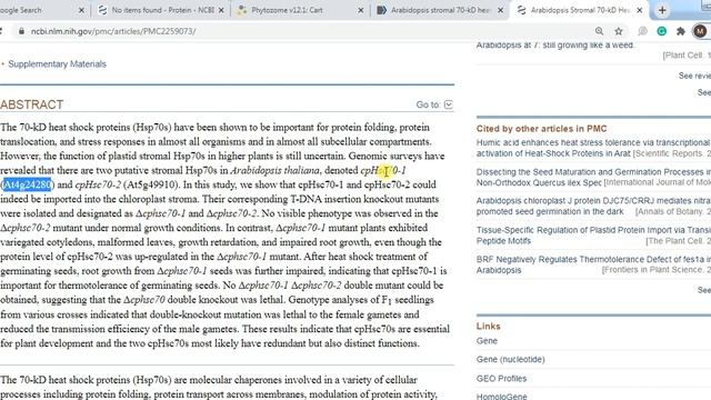 Genome wide study Part 5 | Phylogenetic Tree | MEGA | Evolution | ClustalW | NCBI | Multiple Alignm смотреть онлайн