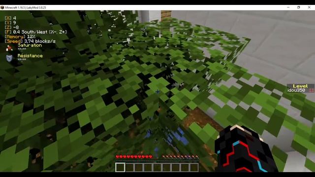 MINECRAFT PARADAISE PARKOUR 1.16.5 смотреть онлайн