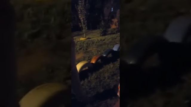 Распитие спиртных напитков на детской площадке смотреть онлайн