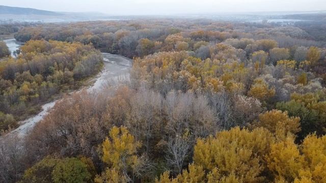 Русские Гусли / Этническая музыка / Осенний Лес / Пение птиц смотреть онлайн