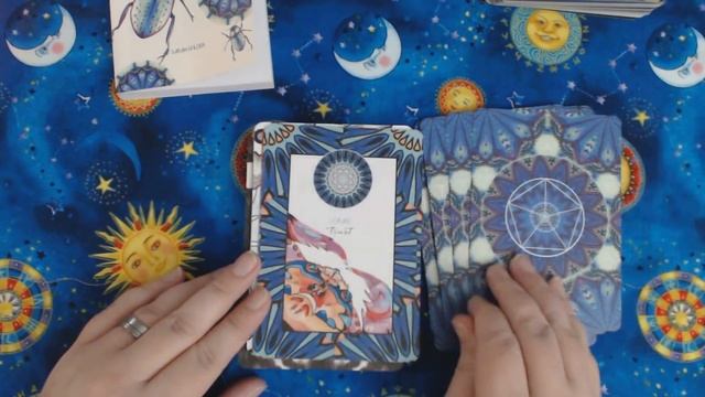 Animal Kin Oracle Walkthrough - and my experience with Animal Oracles смотреть онлайн