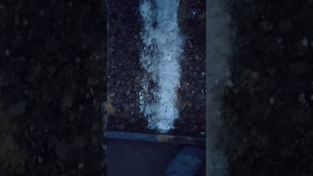 Грядка№ 8: 5)Посадка чеснока Таймкод по этапам 2023окт5 и 6 смотреть онлайн