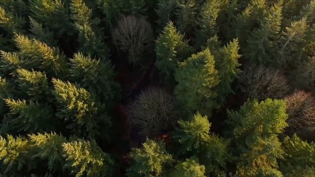 Медитация "Принятие себя. Долой самообесценивание." смотреть онлайн