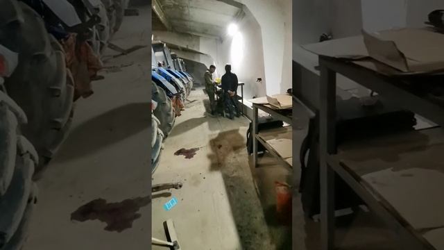 Ремонт идет полным ходом... смотреть онлайн