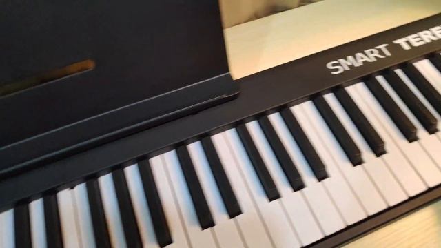 Piano Terence BX20 88keys for beginners to advance users full review смотреть онлайн