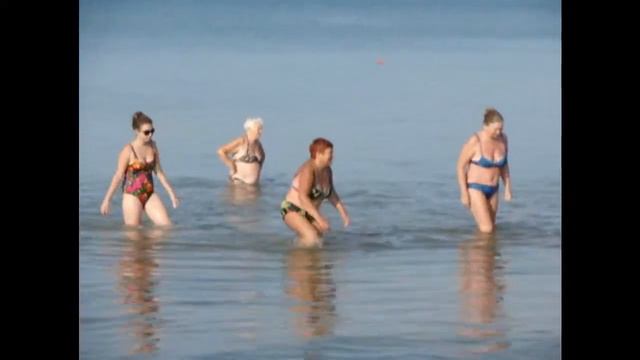 Дельфин и русалка смотреть онлайн