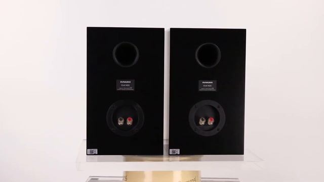Dynaudio Emit M20 смотреть онлайн