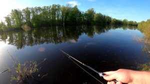 Тест Компактного Бюджетного Тревел Спиннинга с АлиЭкспресс | SEAKNIGHT YASHA + ARCHER