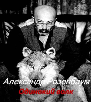 Александр Розенбаум Одинокий волк  (караоке)